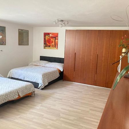 Studio 1 1/2 Contone Экстерьер фото
